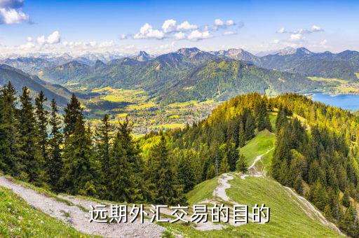 遠(yuǎn)期外匯交易的目的是什么，遠(yuǎn)期外匯交易的目的有哪些