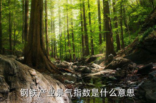 景氣度是什么意思，鋼鐵產(chǎn)業(yè)景氣指數(shù)是什么意思