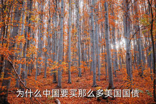 為什么要買美國國債，為什么要買那么多美國國債