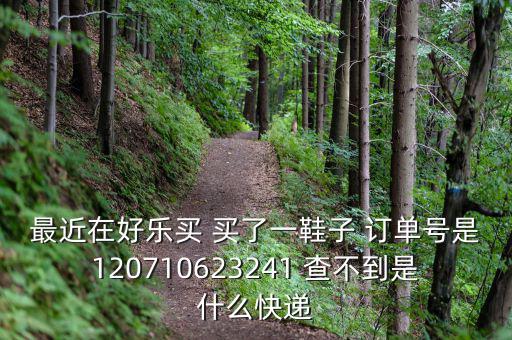 好樂買發(fā)什么快遞，我在好樂買用網(wǎng)銀付款買了雙鞋子請(qǐng)問他們都用什么快遞發(fā)貨