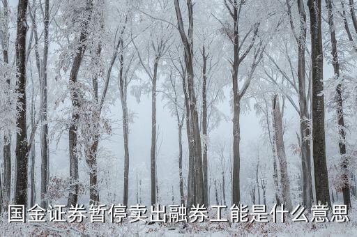 暫停融券是什么意思，國金證券暫停賣出融券工能是什么意思