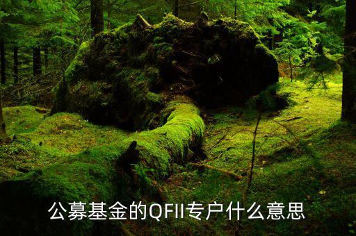 公募專戶是什么意思，什么是基金專戶