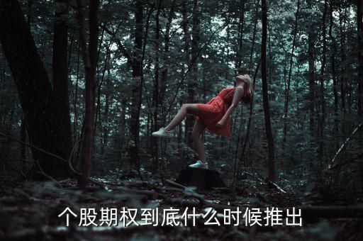 什么時候推出個股期權，股票期權什么時間開始
