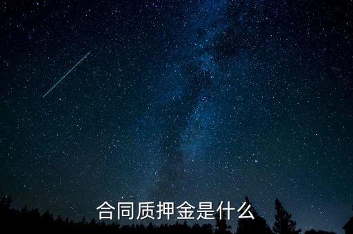 質(zhì)押金是什么，期貨中的質(zhì)押金是什么意思