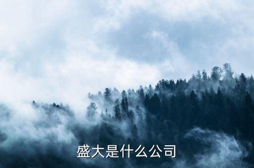 盛大集團(tuán)是經(jīng)營什么，盛大是什么公司
