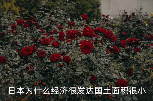 日本為什么土地小，日本為什么經(jīng)濟很發(fā)達國土面積很小