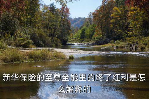 新華保險的終了紅利是什么意思，什么叫終了紅利