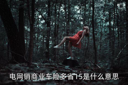 電網(wǎng)銷是什么意思，電網(wǎng)銷商業(yè)車險多省15是什么意思