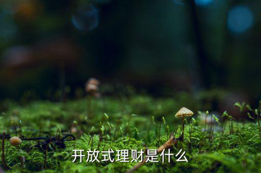 什么是開(kāi)放式理財(cái)產(chǎn)品，農(nóng)行網(wǎng)銀上說(shuō)的開(kāi)放式理財(cái)是什么東西