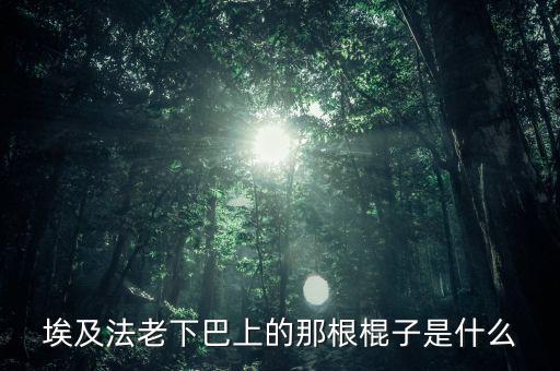 埃及法老的胡子叫什么，胡扶是埃及的第幾代法老