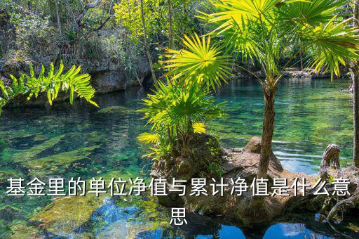基金凈值和累計(jì)凈值是什么，基金里的單位凈值與累計(jì)凈值是什么意思