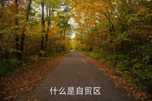 什么叫自貿(mào)區(qū)，什么叫自貿(mào)區(qū)