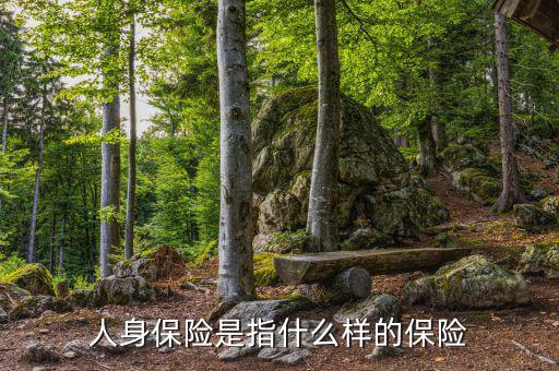 人身險是什么，人身保險是指什么樣的保險