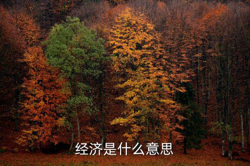 什么經(jīng)濟(jì)，什么是商品經(jīng)濟(jì)