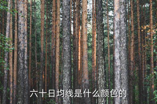 60日均線是什么顏色，5日10日60日線是什么怎么看是什么顏色