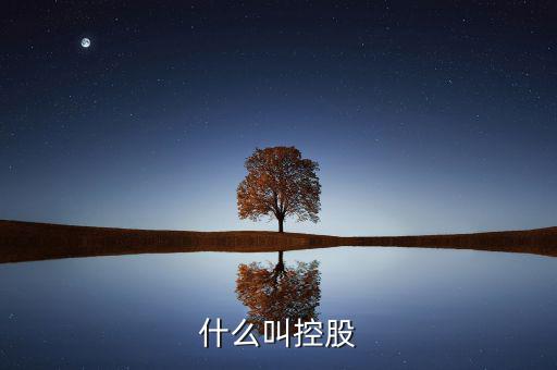 什么叫絕對(duì)控股，什么叫控股