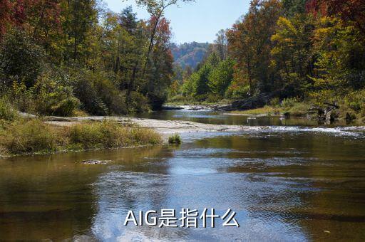 aig危機是什么，AIG為什么會瀕臨倒閉