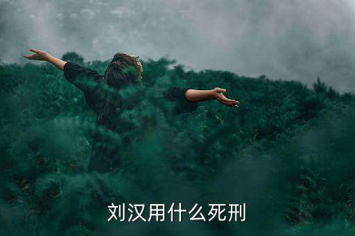 劉漢什么罪，劉漢用什么死刑