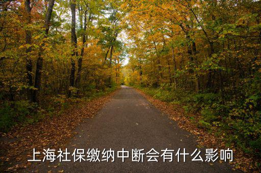 上海生育保險(xiǎn)中斷有什么影響，上海社保繳納中斷會(huì)有什么影響