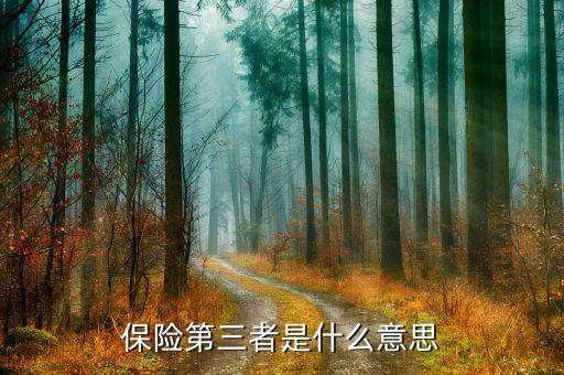 保險(xiǎn)第三者是什么，第三者責(zé)任險(xiǎn)的第三者是什么意思