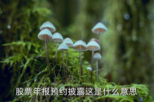 股票披露是什么意思，股票年報預約披露這是什么意思