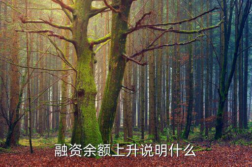 濰柴融資額度很高說明什么，融資余額上升說明什么