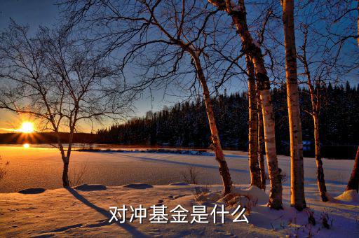 對沖基金到底是什么，對沖基金是什么