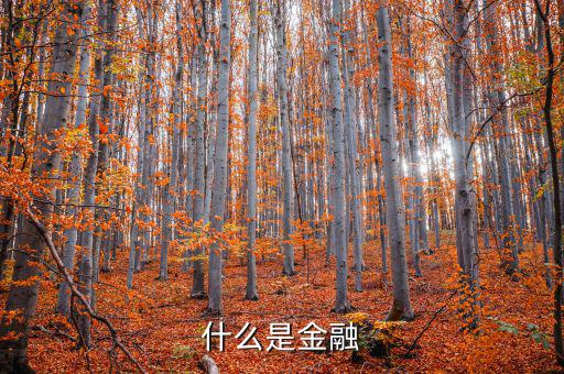金融是什么，什么是金融
