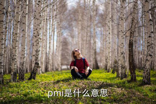 ism非制造業(yè)pmi是什么，pmi是什么意思