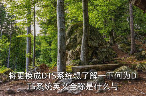 將更換成DTS系統(tǒng)想了解一下何為DTS系統(tǒng)英文全稱(chēng)是什么與