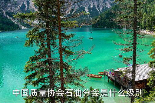 中質(zhì)協(xié)獎(jiǎng)屬于什么級(jí)別，國(guó)藝杯屬于什么級(jí)別的獎(jiǎng)項(xiàng)