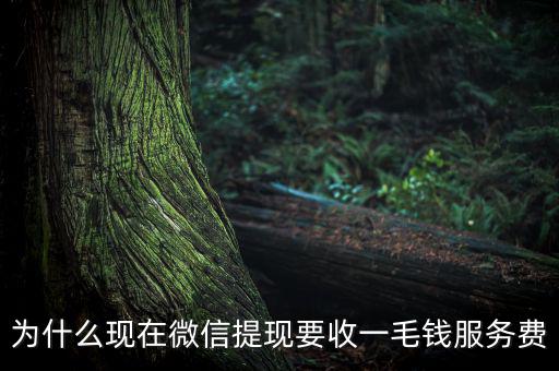 微信提現(xiàn)為什么要收費，為什么現(xiàn)在微信提現(xiàn)要收一毛錢服務(wù)費