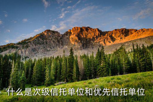 什么是優(yōu)先次級受益人，簡單解釋下信托的優(yōu)先次級機構是什么意思