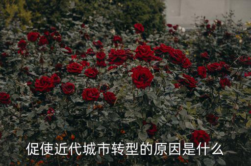 為什么城鎮(zhèn)化要轉(zhuǎn)型，促使近代城市轉(zhuǎn)型的原因是什么