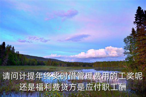 計(jì)提獎(jiǎng)金是什么意思，請(qǐng)問計(jì)提年終獎(jiǎng)時(shí)借管理費(fèi)用的工獎(jiǎng)呢還是福利費(fèi)貸方是應(yīng)付職工酬