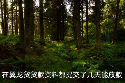 翼龍貸什么時(shí)候放項(xiàng)目，在翼龍貸貸款資料都提交了幾天能放款