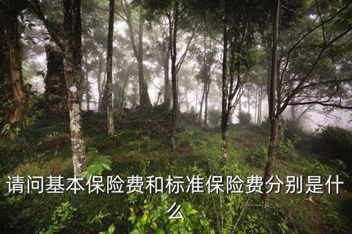 標(biāo)準(zhǔn)保費(fèi)什么意思，請(qǐng)問(wèn)基本保險(xiǎn)費(fèi)和標(biāo)準(zhǔn)保險(xiǎn)費(fèi)分別是什么