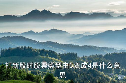 股票類型4是什么意思，打新股時(shí)股票類型由5變成4是什么意思