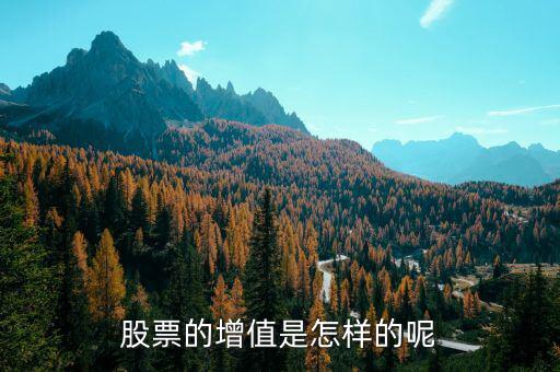 什么叫股票增值權，什么是股票增值權