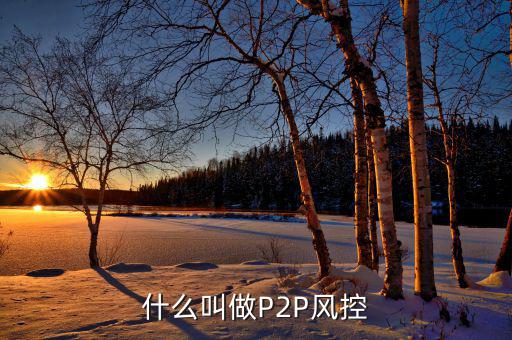 什么是風(fēng)控機(jī)制，白條風(fēng)控是什么意思