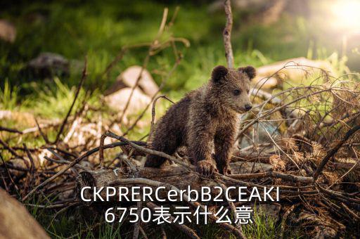 分類調(diào)控是什么意思，CKPRERCerbB2CEAKI6750表示什么意