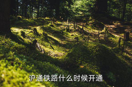 滬臺通什么時候開通，上海到臺州的火車是什么時候開通的