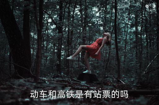 為什么高鐵沒有站票，為什么高鐵沒有站票