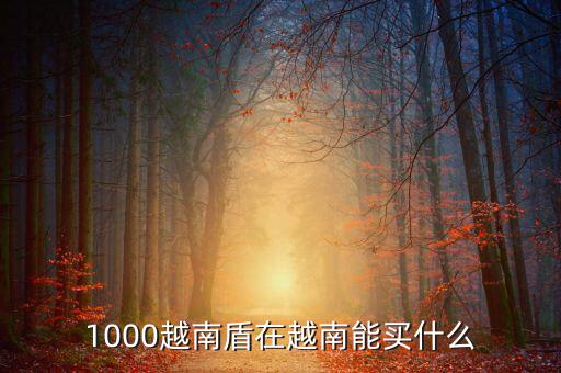 1越南盾能買什么，1盾越南幣能買什么