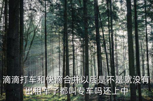 滴滴快滴合并叫什么，滴滴快的合并后叫什么