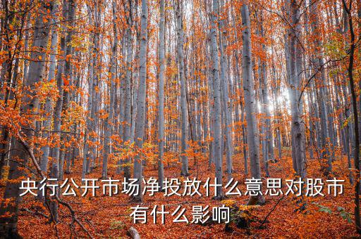什么是央行凈投放，央行凈投放是甚么意思