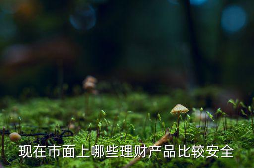 什么理財(cái)產(chǎn)品安全，做理財(cái)哪種安全些