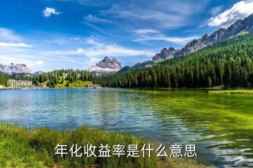 14日年化收益率是什么意思，年化收益率什么意思