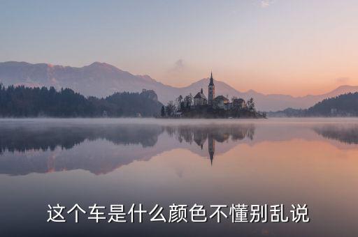 尼日利亞的國車是什么顏色，GIN的車子是什么牌子什么顏色的