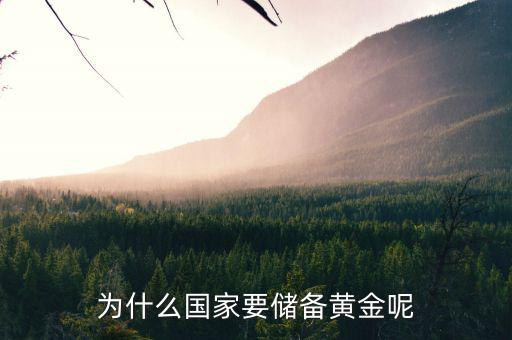 黃金為什么是儲(chǔ)備，國(guó)家為什么要儲(chǔ)備黃金不儲(chǔ)備鉑金鈀金這些也值錢啊為什么只